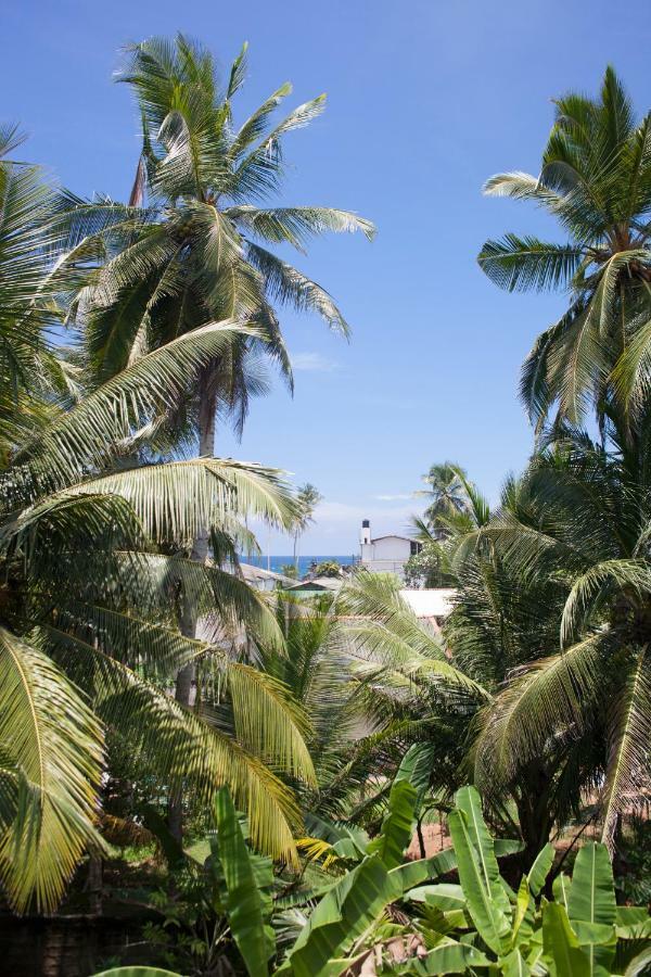 Alvas House Hotel Hikkaduwa Exterior photo